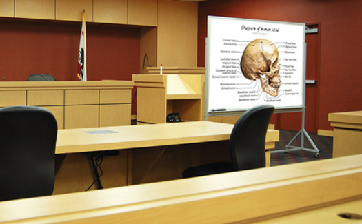 legal court diagram of skull